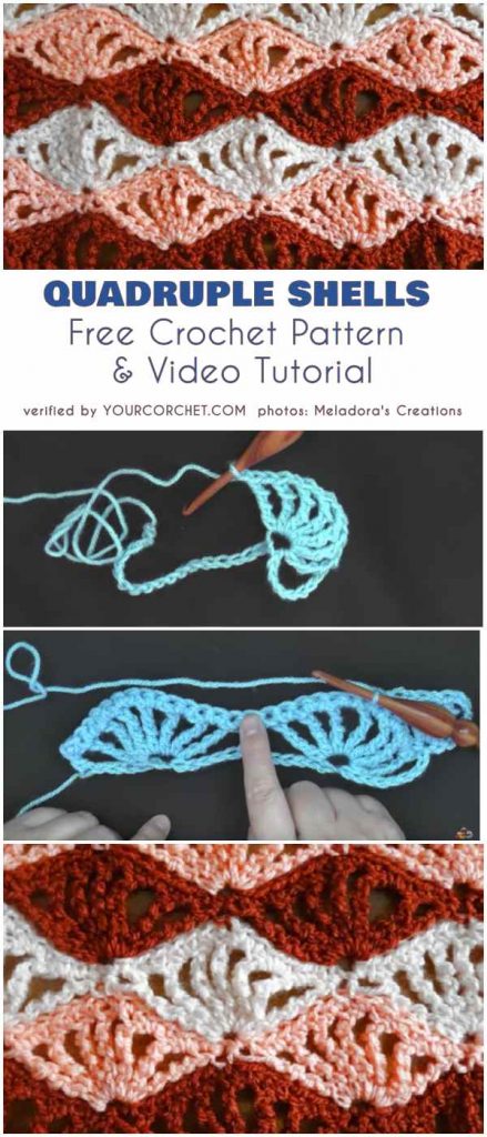 Stunning Shell Stitches Your Crochet