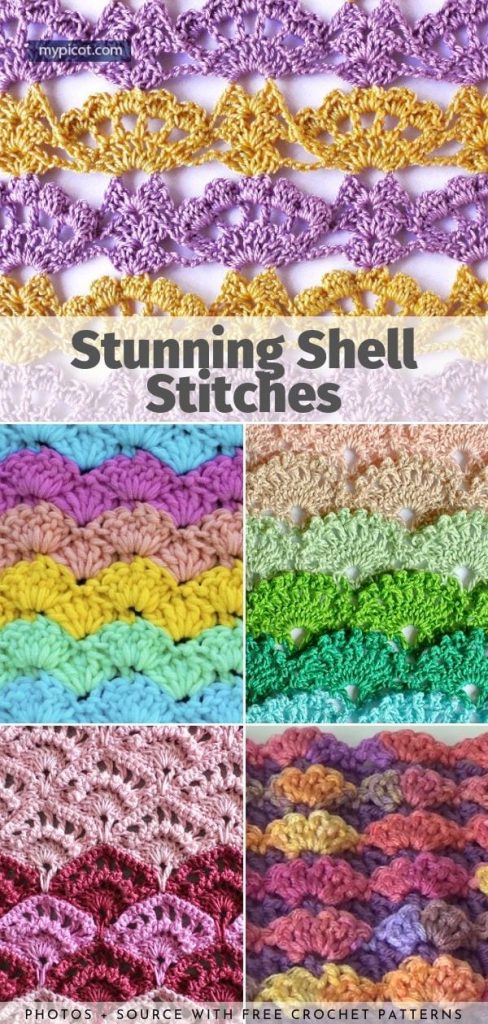 Stunning Shell Stitches Your Crochet