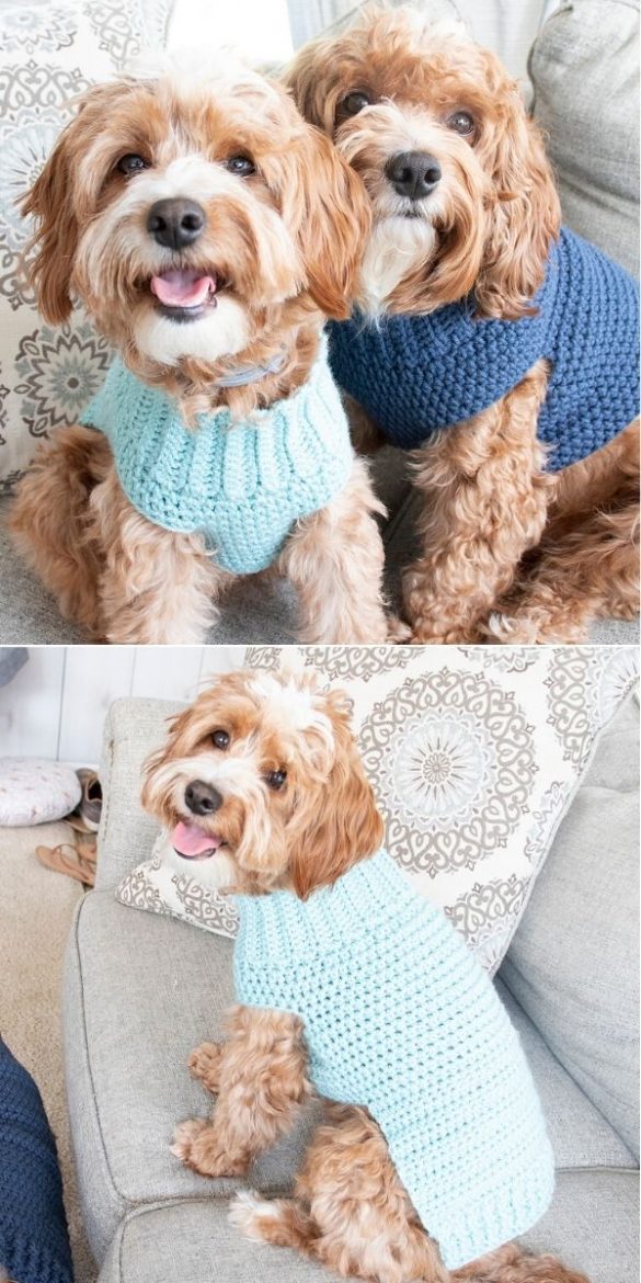 20 Best Crochet Dog Sweaters Your Crochet