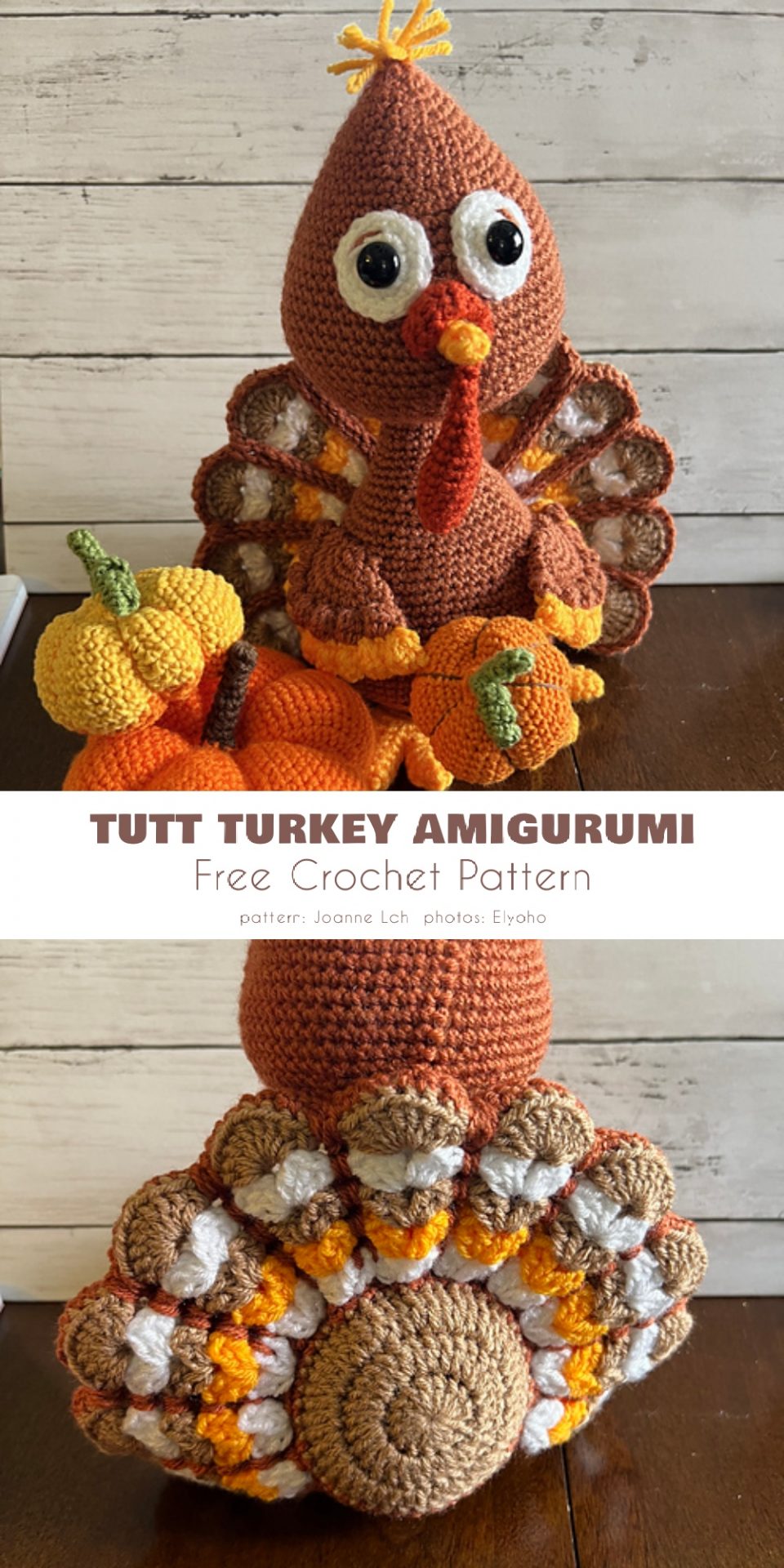 turkey tutt scaled